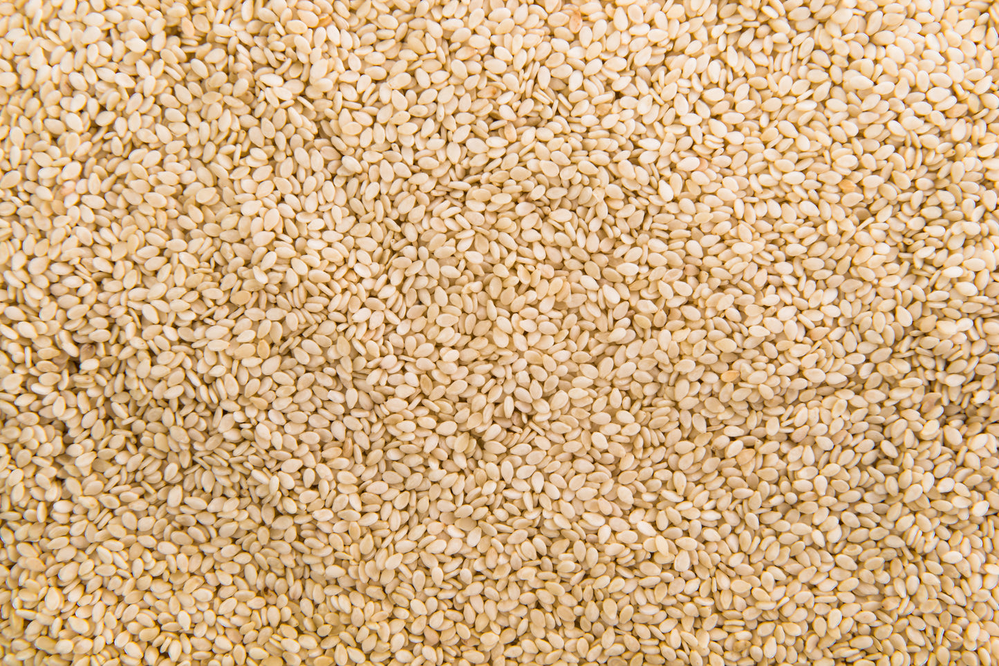 Sesame seeds 100g